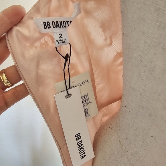 BB Dakota Pink Rose Smoke Lace Illusion Dress - Picture 9 of 10